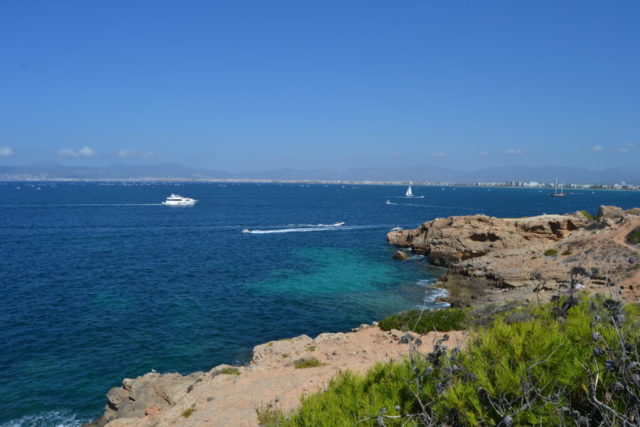 DSC_0018