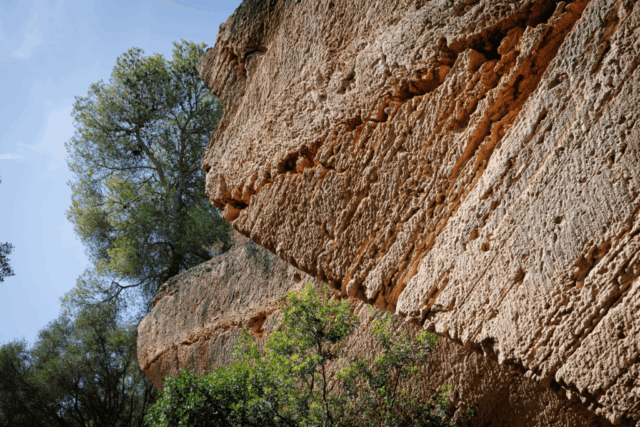 DXQE7555